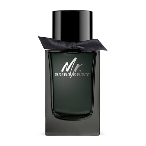 profumo uomo mr burberry|burberry cologne for men.